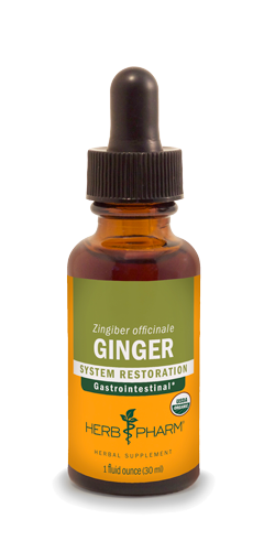 GINGER 1 fl oz