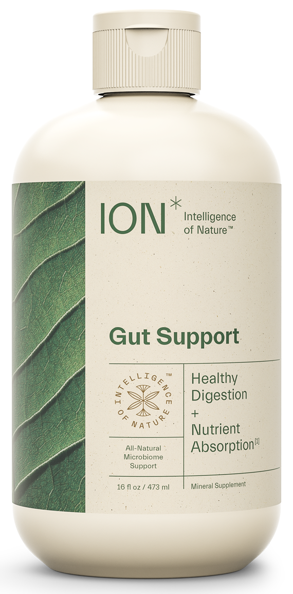 ION* Gut Support 16 fl oz